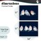 Stupell Industries Perched Navy Toned Birds 2pc Framed Giclee Set, design by Lorenzo Collective